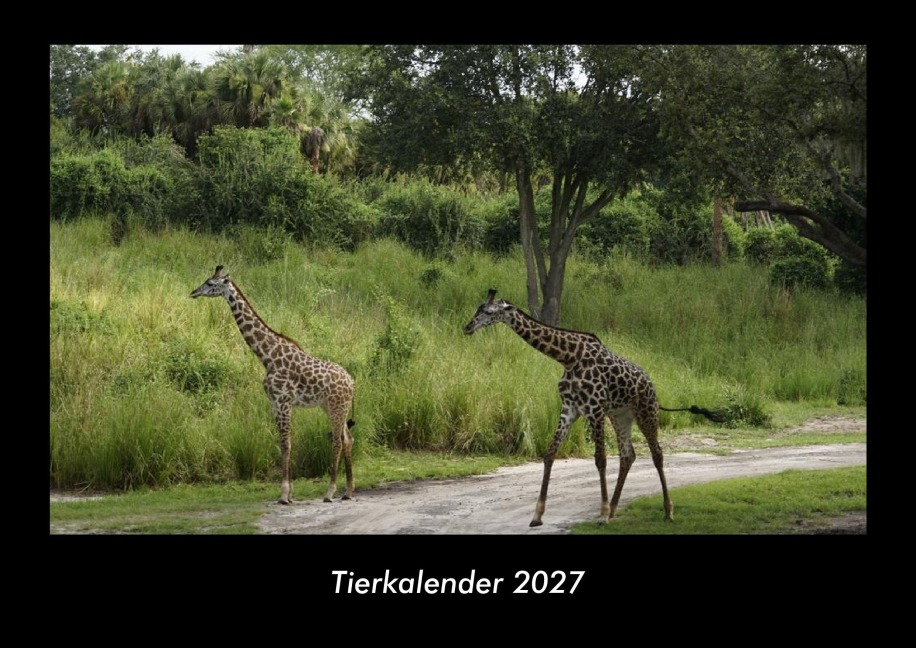 Tierkalender 2027 Fotokalender DIN A3 - Tobias Becker