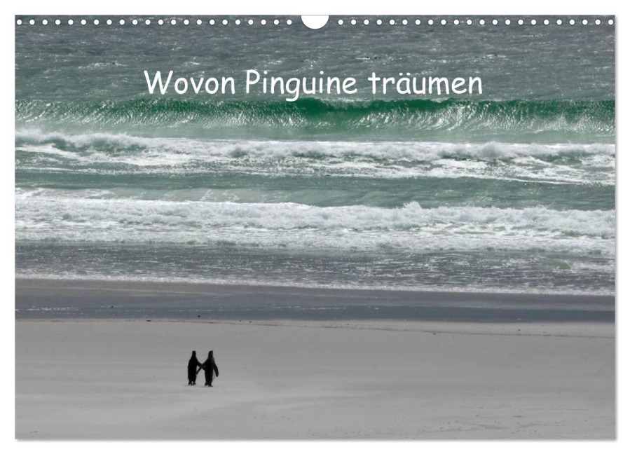Wovon Pinguine träumen (Wandkalender 2026 DIN A3 quer), CALVENDO Monatskalender - Rolf Skrypzak
