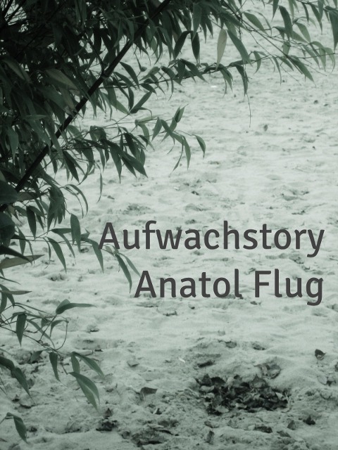 Aufwachstory - Anatol Flug