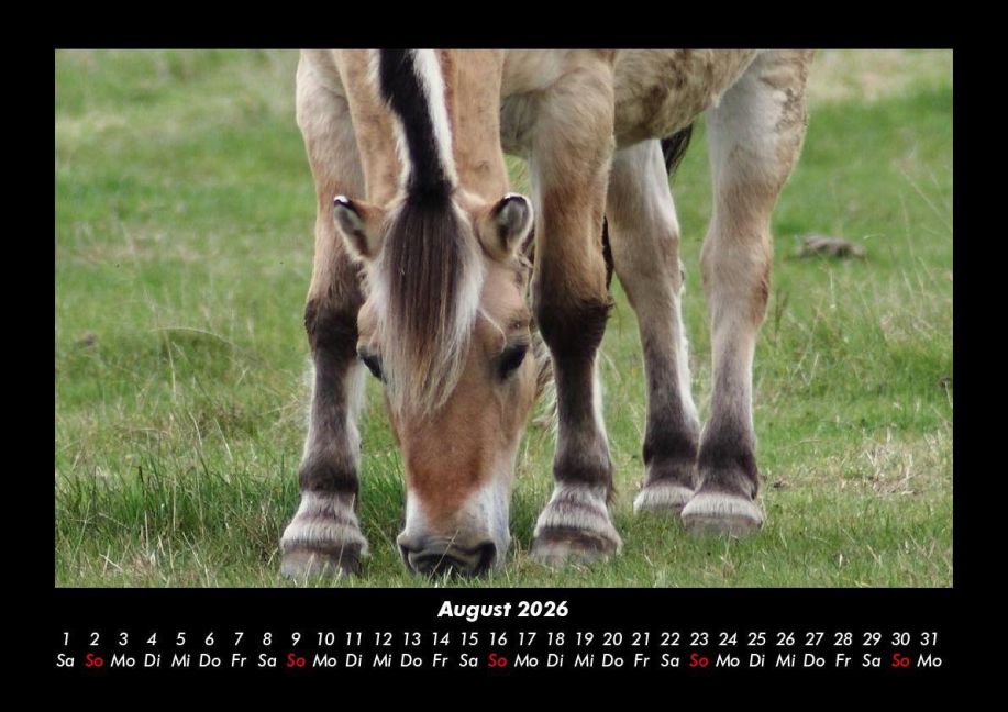 InsideView 12