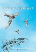 Cover-Bild zum Titel 'Segler am Sommerhimmel' von 'Stefan Bosch'