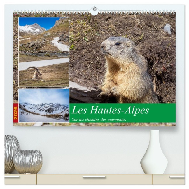 Les Hautes-Alpes sur les chemins des marmottes (Calendrier mural 2026 DIN A2 vertical) calendrier de bureau - Alain Gaymard