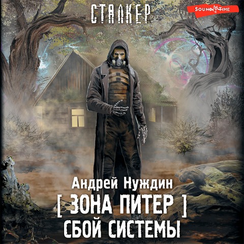 Zona Piter. Sboy sistemy - Andrey Nuzhdin