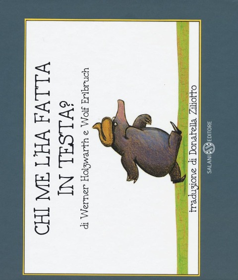 Chi me l'ha fatta in testa? Piccoli libri perfetti - Werner Holzwarth, Wolf Erlbruch