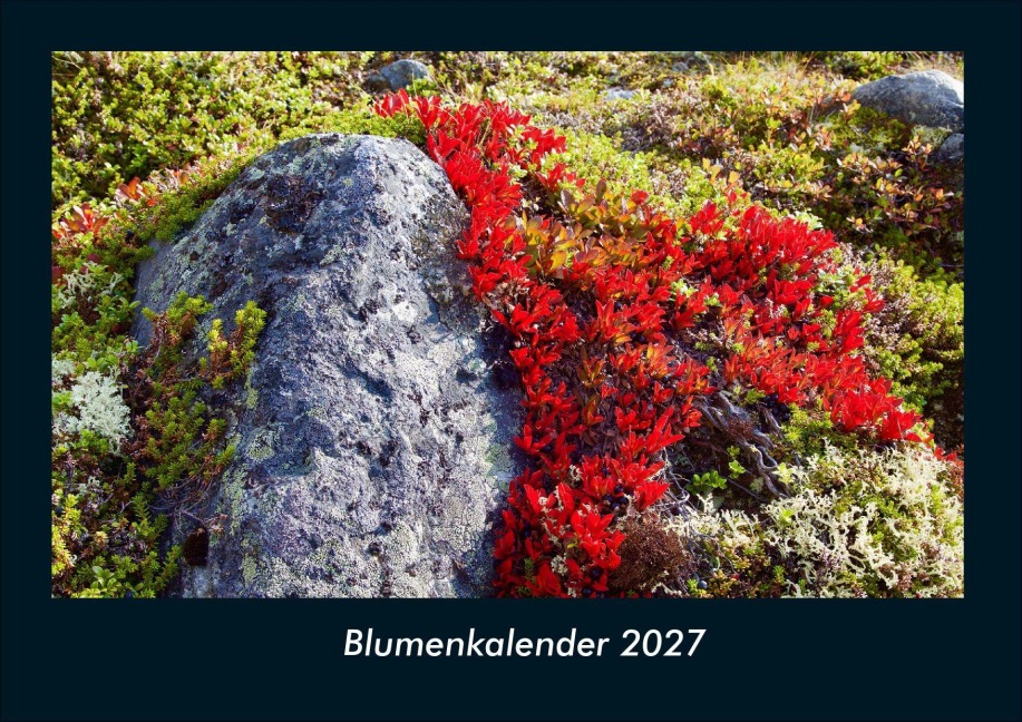 Blumenkalender 2027 Fotokalender DIN A4 - Tobias Schmitt, Kevin Heber