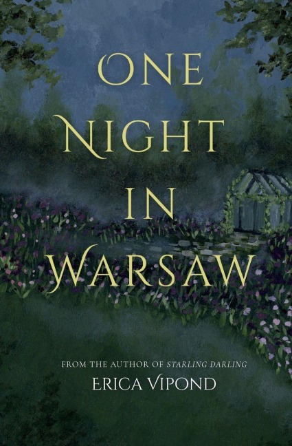 One Night in Warsaw - Erica Vipond