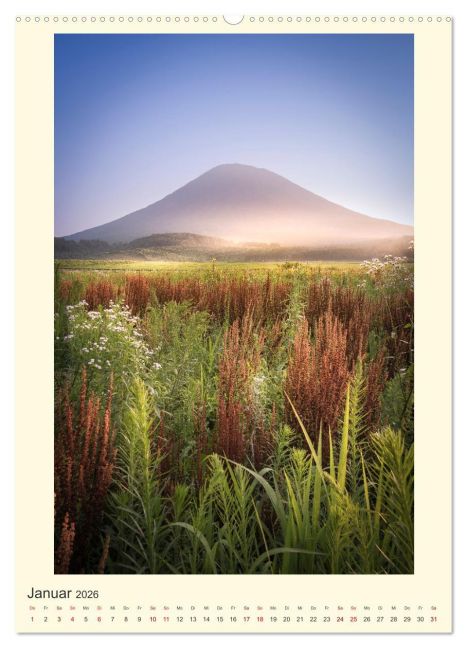 InsideView 5
