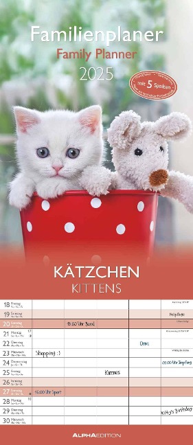 Kätzchen 2025 Familienplaner - Familienkalender - Wandkalender - 19,5x45 - 