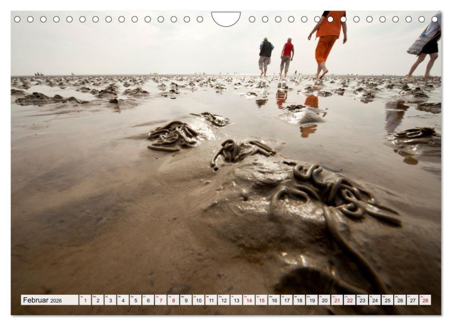 InsideView 7