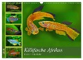 Killifische Afrikas (Wandkalender 2024 DIN A3 quer), CALVENDO Monatskalender - Rudolf Pohlmann