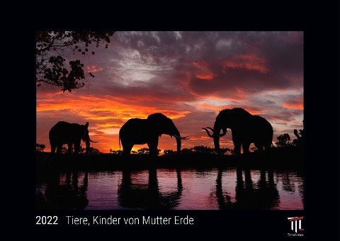 Tiere, Kinder von Mutter Erde 2022 - Black Edition - Timokrates Kalender, Wandkalender, Bildkalender - DIN A3 (42 x 30 cm) - 