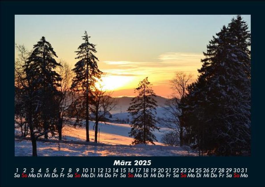 InsideView 7
