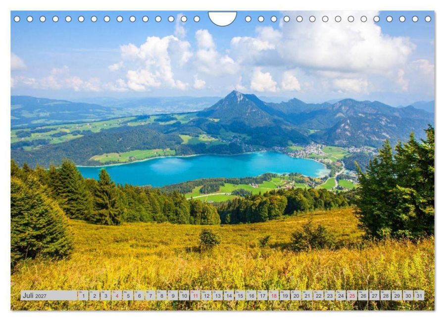InsideView 12