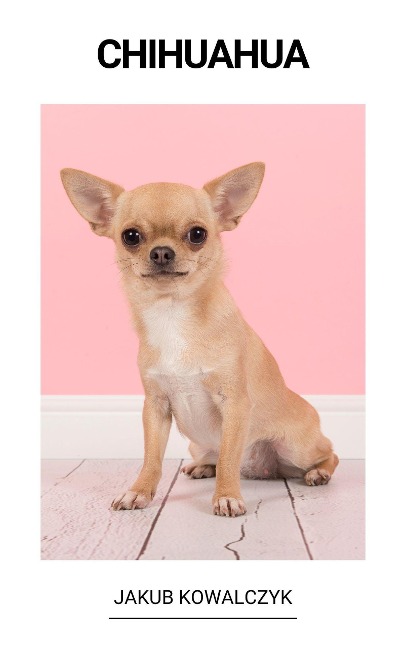 Chihuahua - Jakub Kowalczyk