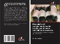 Cover-Bild zum Titel 'Dinamiche di cambiamento nelle scrofe con diverse sensibilità allo stress' von 'A. I. Kuznetsov'