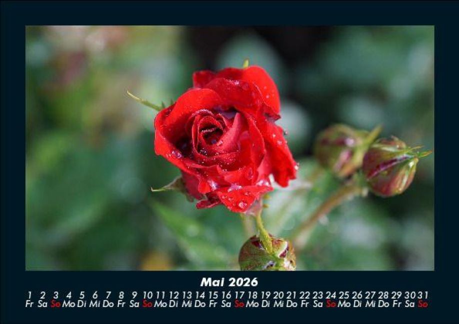 InsideView 9