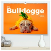 Die Bulldogge Henry (hochwertiger Premium Wandkalender 2026 DIN A2 quer), Kunstdruck in Hochglanz - M. Scott
