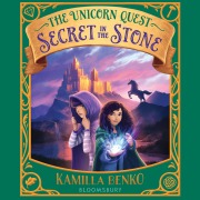 Cover-Bild zum Titel 'Secret in the Stone' von 'Kamilla Benko'