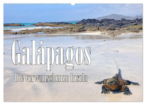 Galápagos - Die verwunschenen Inseln (Wandkalender 2024 DIN A2 quer), CALVENDO Monatskalender - Stefan Schütter