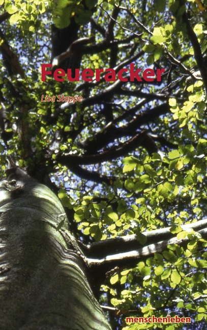 Feueracker - Lisa Steppe