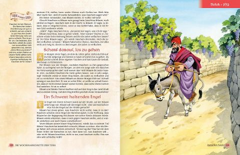 InsideView 8