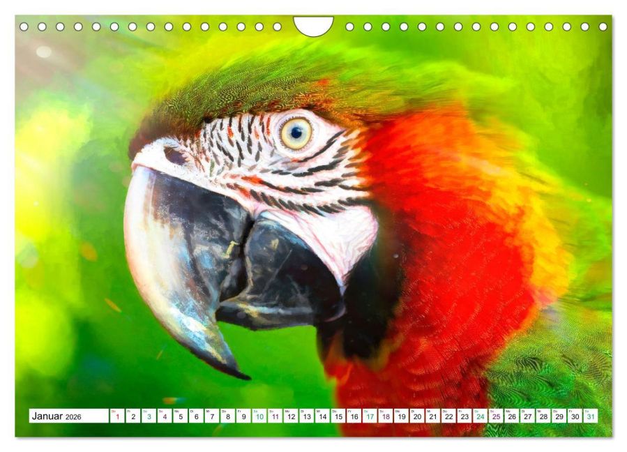 InsideView 6