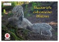 GEOclick Lernkalender: Steckbriefe einheimischer Wildtiere (Wandkalender 2024 DIN A2 quer), CALVENDO Monatskalender - Klaus Feske
