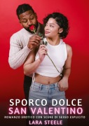 Cover-Bild zum Titel 'Sporco Dolce San Valentino' von 'Lara Steele'