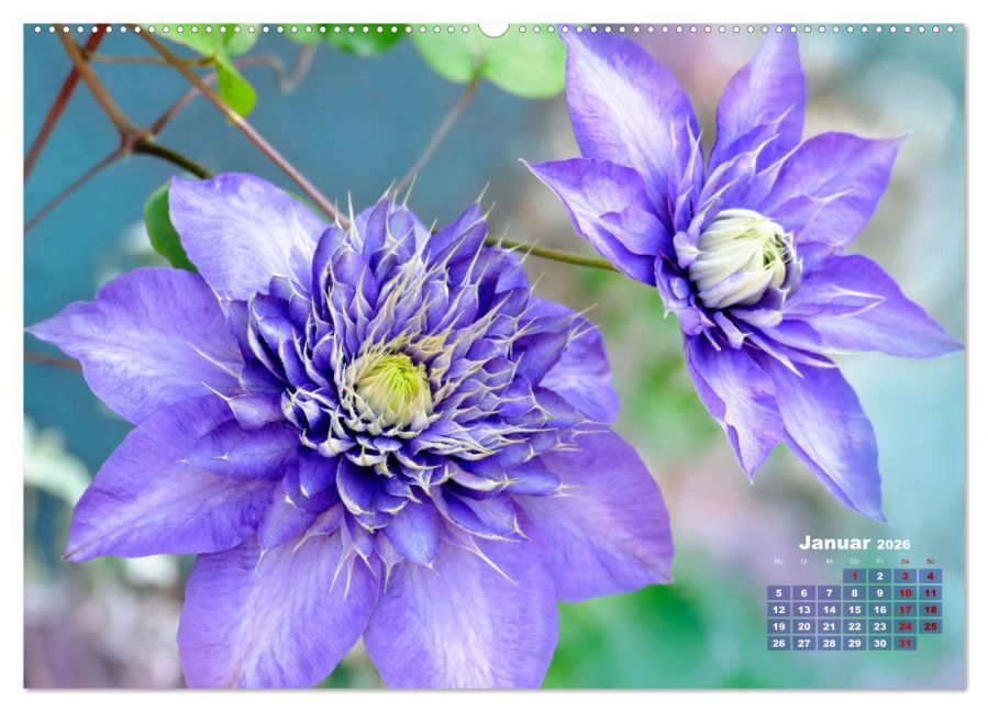InsideView 5