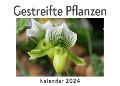 Cover-Bild zum Titel 'Gestreifte Pflanzen (Wandkalender 2024, Kalender DIN A4 quer, Monatskalender im Querformat mit Kalendarium, Das perfekte Geschenk)' von 'Anna Müller'