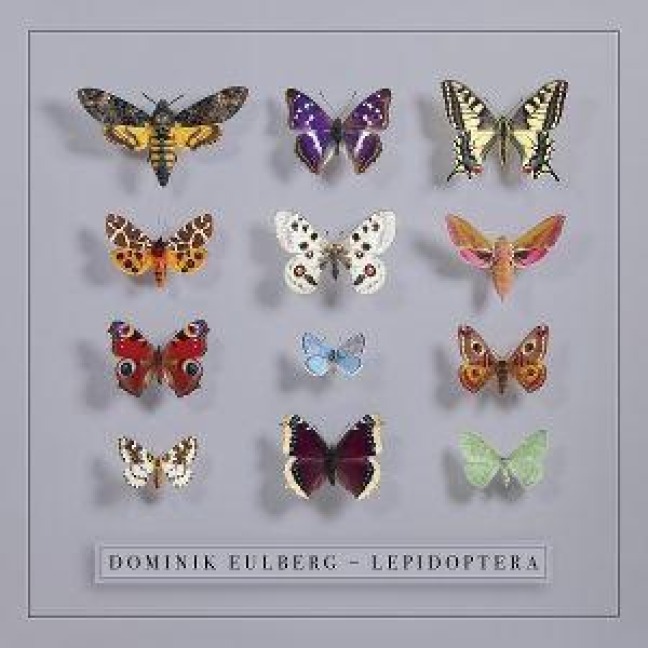 Lepidoptera - Dominik Eulberg