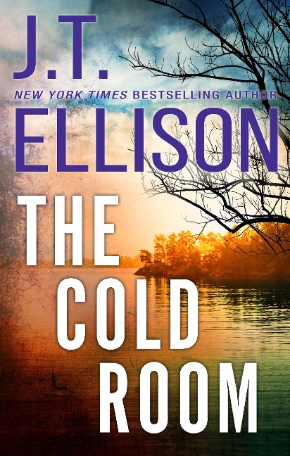 The Cold Room - J. T. Ellison