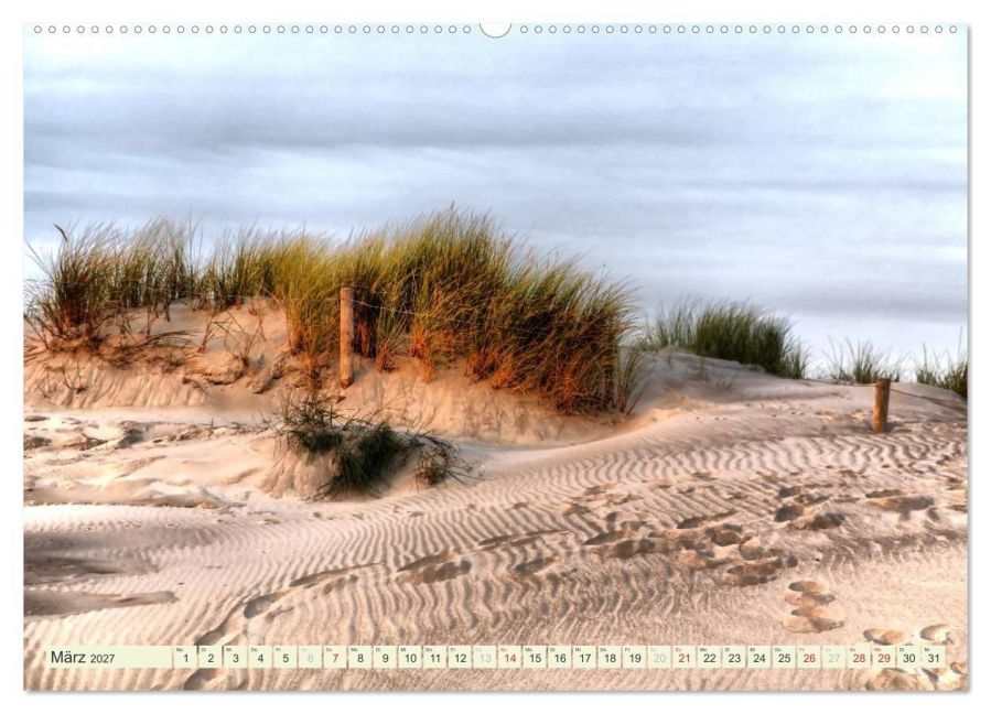 InsideView 8