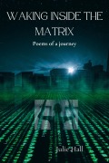 Cover-Bild zum Titel 'Waking Inside the Matrix' von 'Julie Hall'