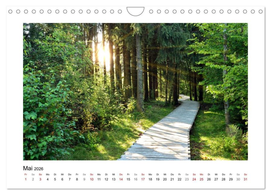 InsideView 10