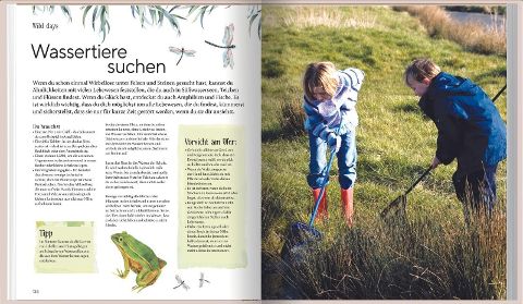 InsideView 13