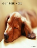 Cover-Bild zum Titel 'A Day in the Life of Dixie (Four essays about Love,Loss and Perseverions., #4)' von 'Beth Nash'