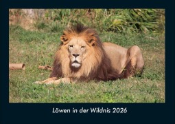 Cover-Bild zum Titel 'Löwen in der Wildnis 2026 Fotokalender DIN A4' von 'Tobias Becker'