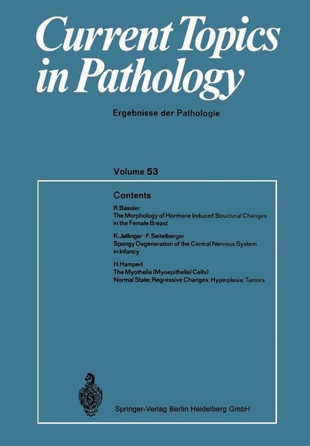 Current Topics in Pathology - H. -W. Altmann, Chr. Hedinger, S. Iijima, W. H. Kirsten, I. Klatzo