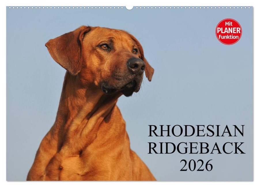 Rhodesian Ridgeback 2026 (Wandkalender 2026 DIN A2 quer), CALVENDO Monatskalender - Sigrid Starick