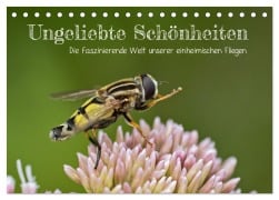 Ungeliebte Schönheiten - die faszinierende Welt unserer heimischen Fliegen (Tischkalender 2025 DIN A5 quer), CALVENDO Monatskalender - Leon Uppena