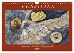 Cover-Bild zum Titel 'Fossilien - Ammoniten, Trilobiten, Erdgeschichte (Wandkalender 2026 DIN A4 quer), CALVENDO Monatskalender' von 'Anja Frost'
