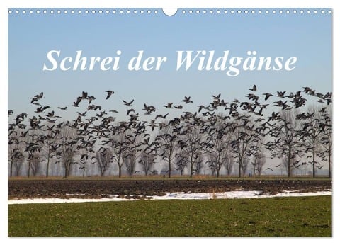 Schrei der Wildgänse (Wandkalender 2024 DIN A3 quer), CALVENDO Monatskalender - Rolf Pötsch