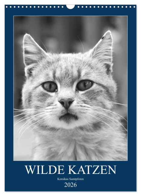 Wilde Katzen - Korsikas Samtpfoten (Wandkalender 2026 DIN A3 hoch), CALVENDO Monatskalender - Claudia Schimmack