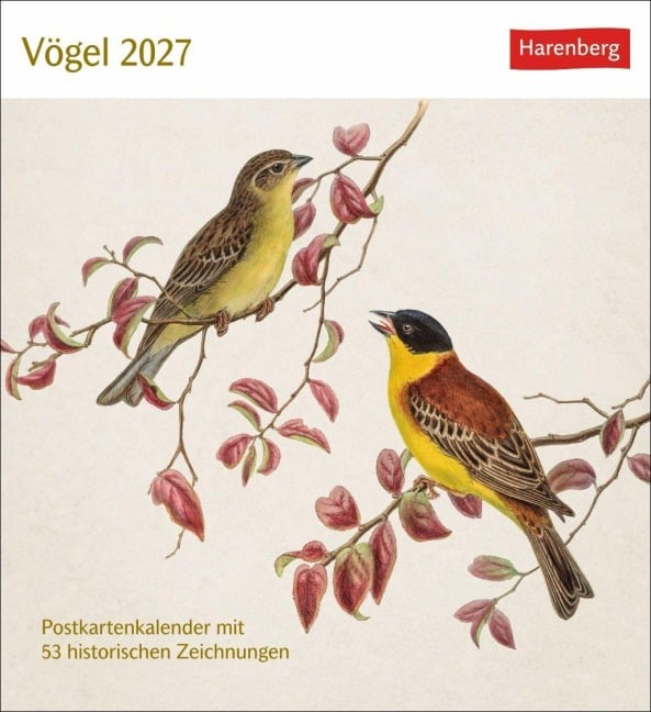 Vögel Postkartenkalender 2027 - Postkartenkalender mit 53 historischen Zeichnungen - 