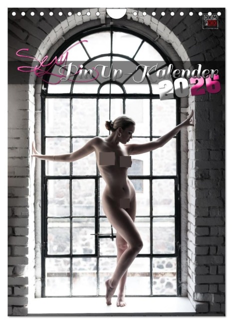 Sexy PinUp-Kalender 2026 (Wandkalender 2026 DIN A4 hoch), CALVENDO Monatskalender - Dreampixx Dreampixx