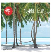 Cover-Bild zum Titel 'Summer Dreams 2027' von ''