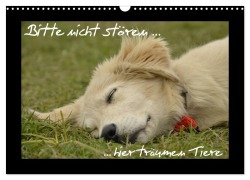Bitte nicht stören... hier träumen Tiere (Wandkalender 2026 DIN A3 quer), CALVENDO Monatskalender - Krokotraene Krokotraene