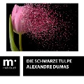 Cover-Bild zum Titel 'Die schwarze Tulpe' von 'Alexandre Dumas'