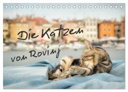 Die Katzen von Rovinj (Tischkalender 2025 DIN A5 quer), CALVENDO Monatskalender - Viktor Gross